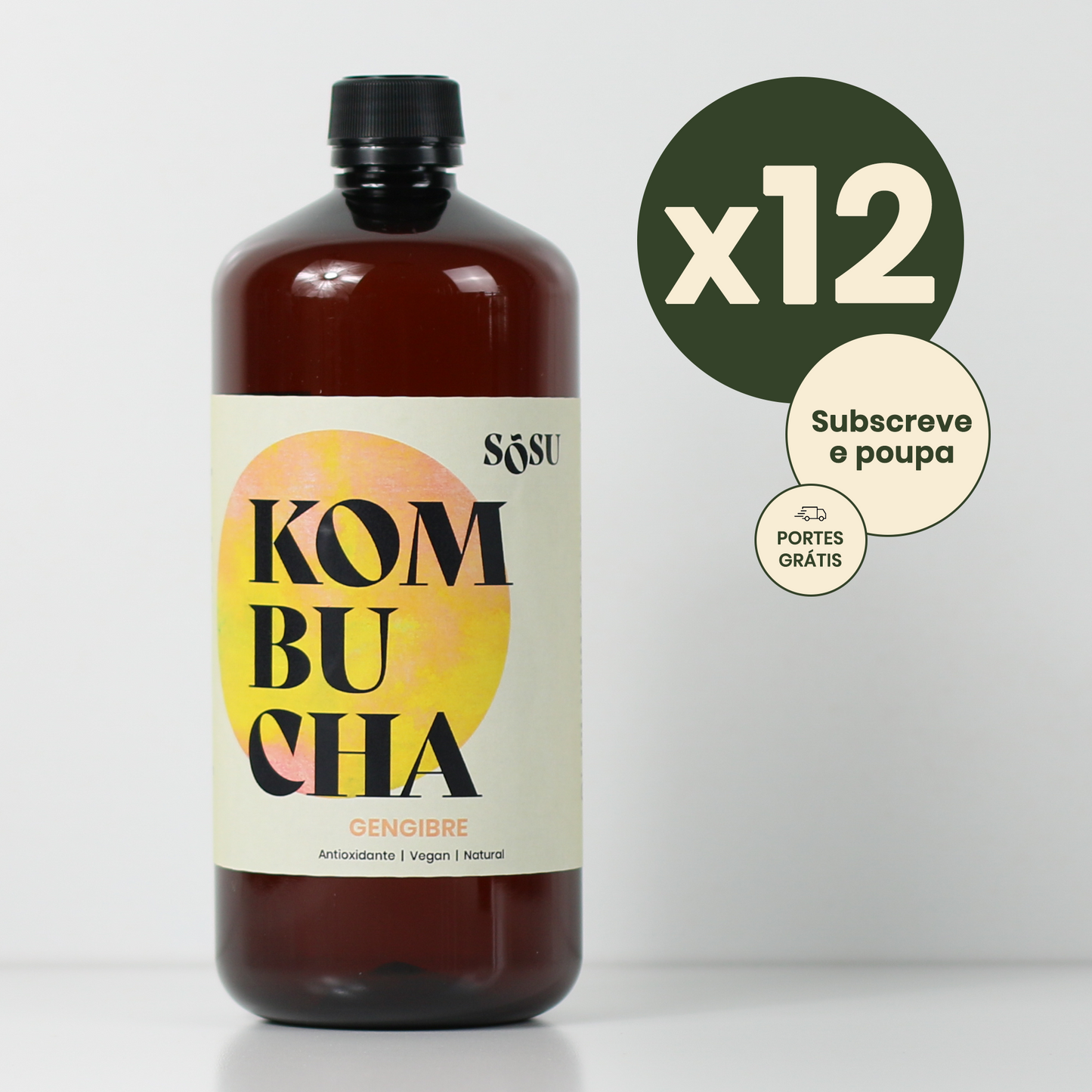 Pack Kombucha for Everyone - 12 x 1L