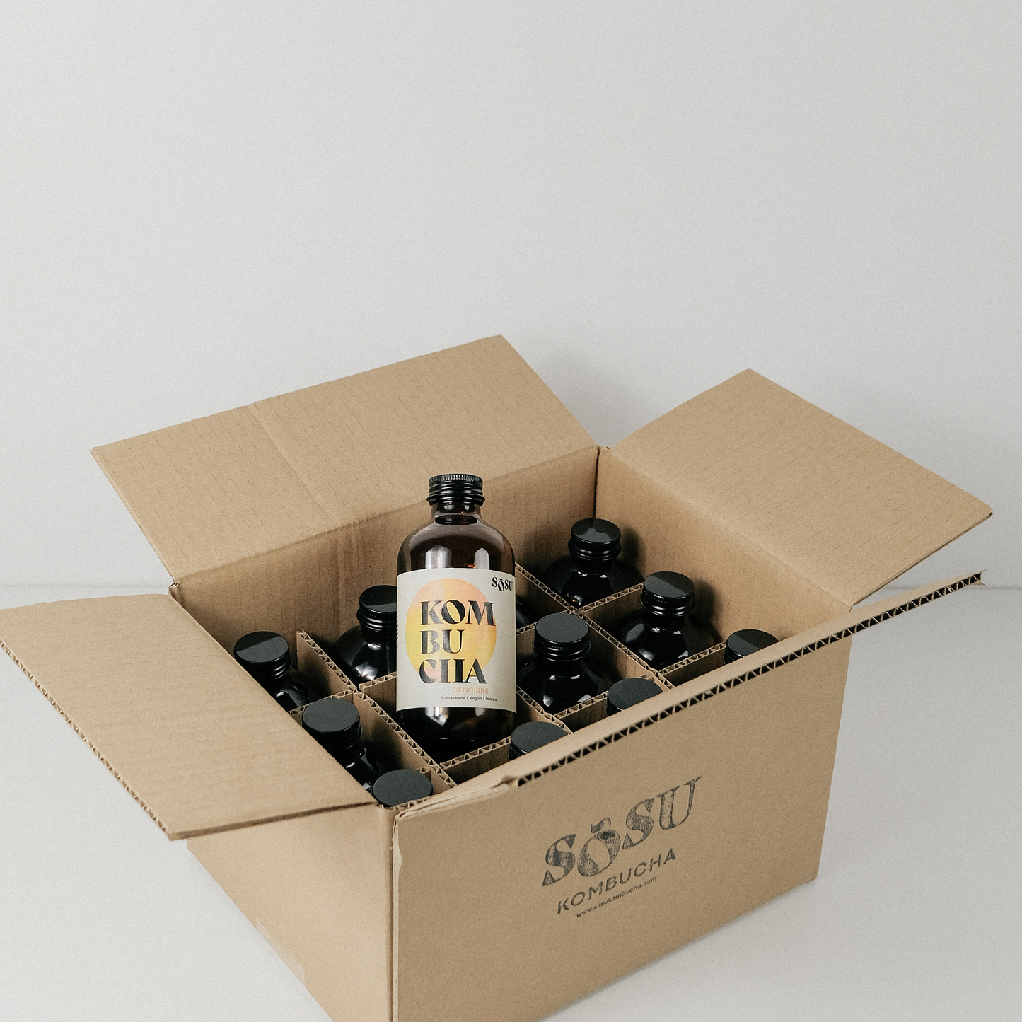 Pack 12 bottles x 250ml