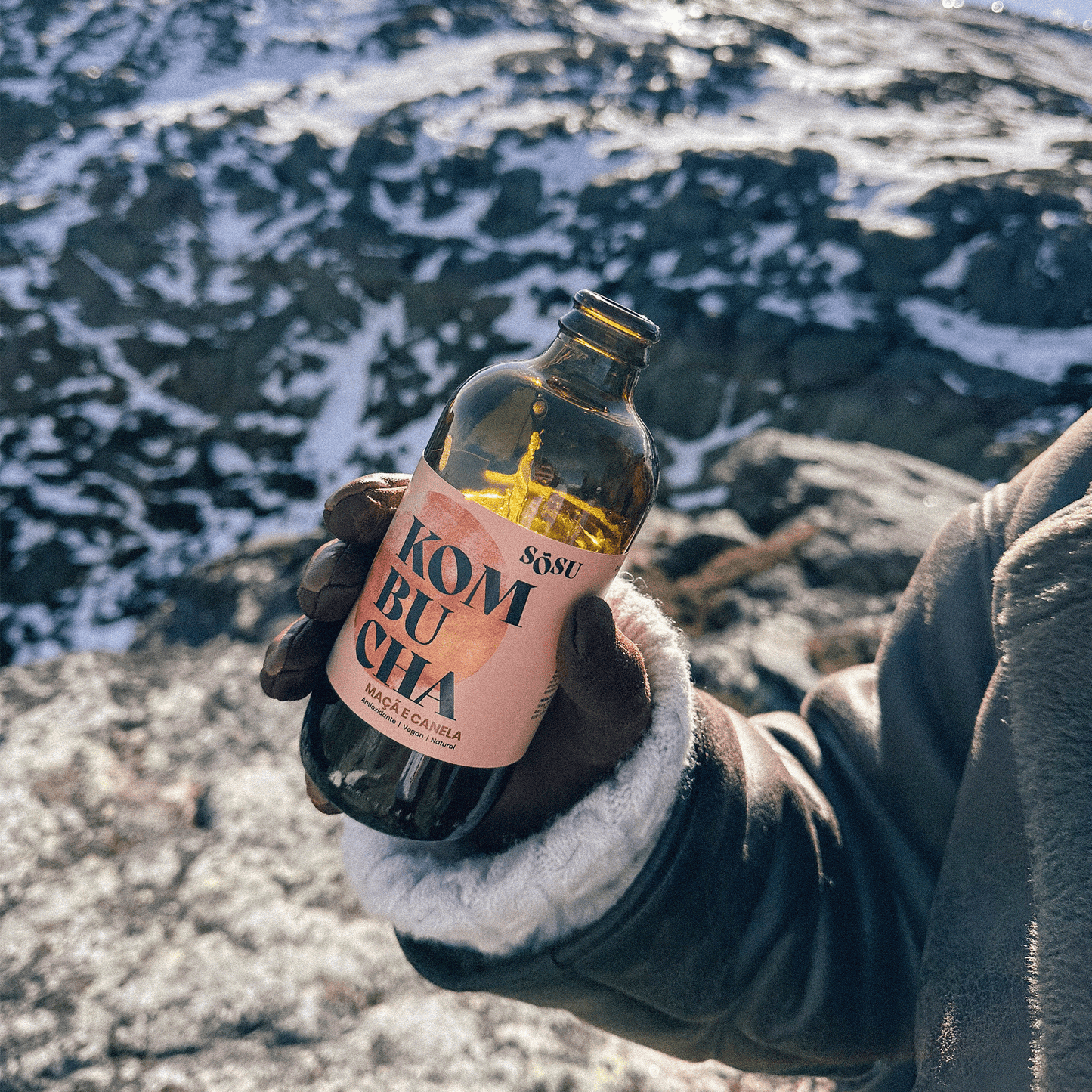 Kombucha Maçã e Canela - Edição Limitada 🍎